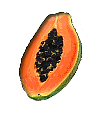 papaya