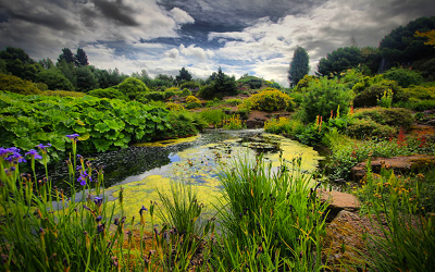 Garten01
