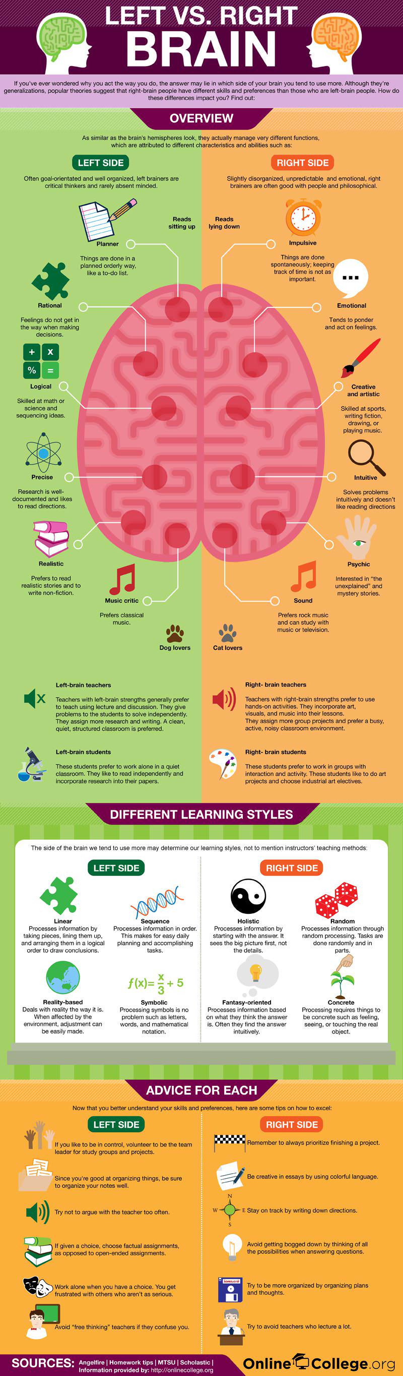 Left and Right Brain