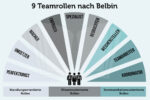 Belbin 9 Teamrollen Grafik
