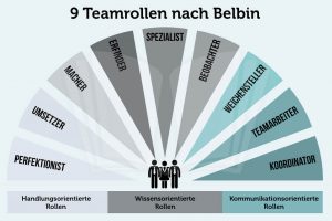 Belbin 9 Teamrollen Grafik