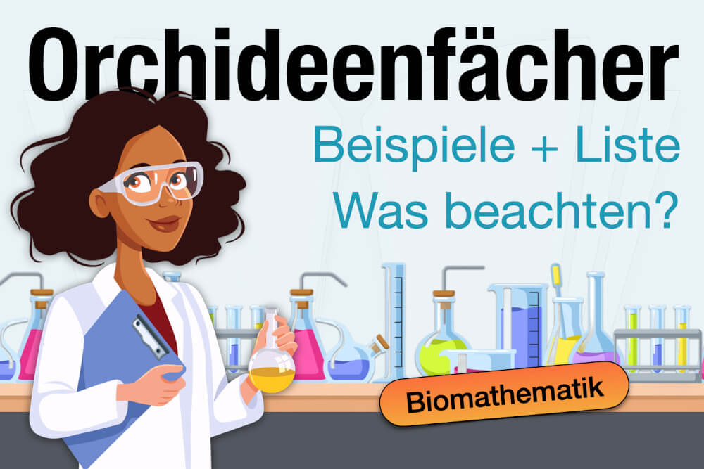 Orchiedeenfaecher Beispiele Liste Studium Tipps Vorteile