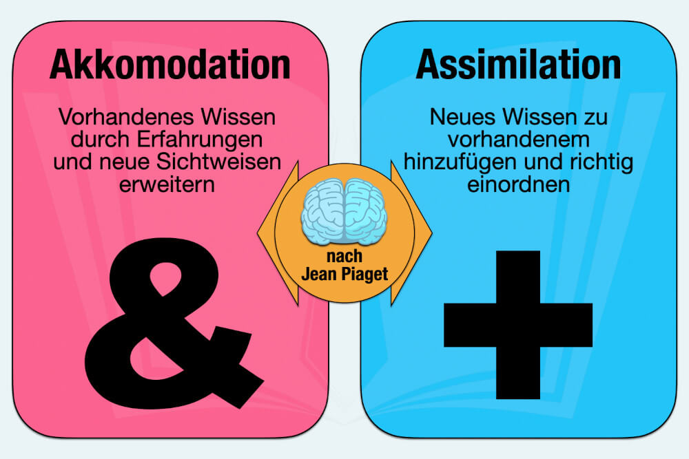 Akkommodation & Assimilation nach Piaget: Einfach erklärt