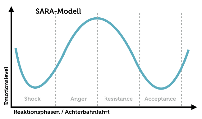 Sara Modell Feedback Reaktionen Grafik