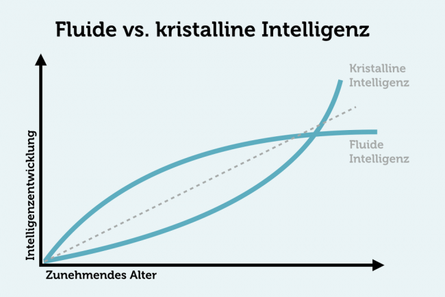 Intelligenz steigern: Fluide versus kristalline Intelligenz, Intelligenz steigern Erwachsene im Alter