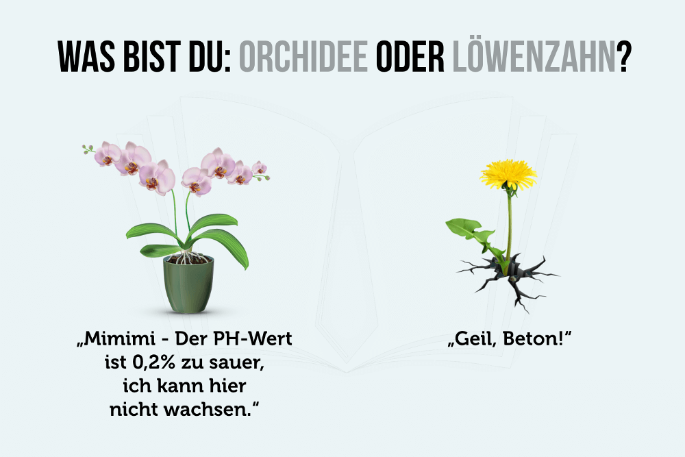 Orchidee oder Loewenzahn Grafik