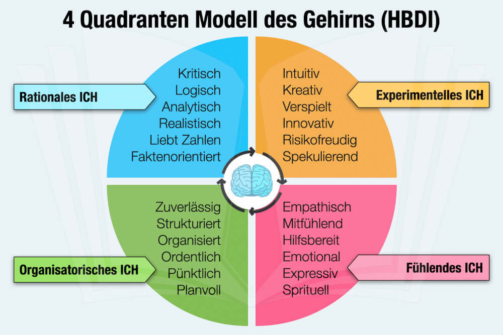 Hbdi 4 Quadranten Modell Gehirm Whole Brain Modell