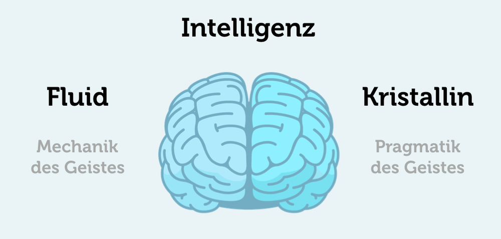 Kristalline Und Fluide Intelligenz Fluide Intelligenz: Ist logisches Denken erlernbar? | karrierebibel.de