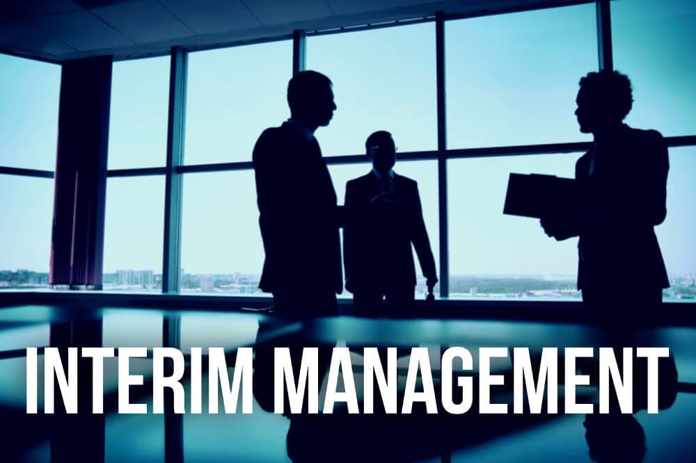 Interim Management: Jobs und Honorare