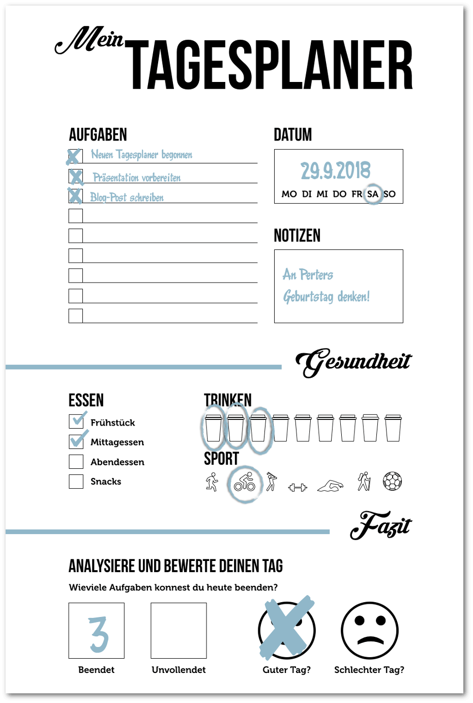 Tagesplaner Vorlage Beispiel Ausgefüllt