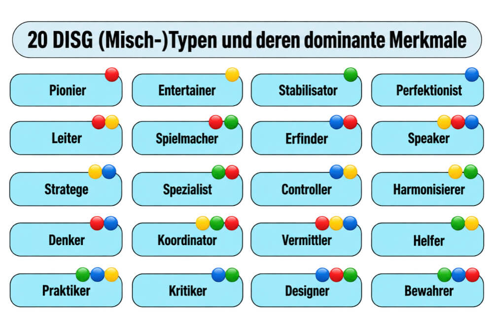 Disg Modell 20 Mischtypen Beispiele