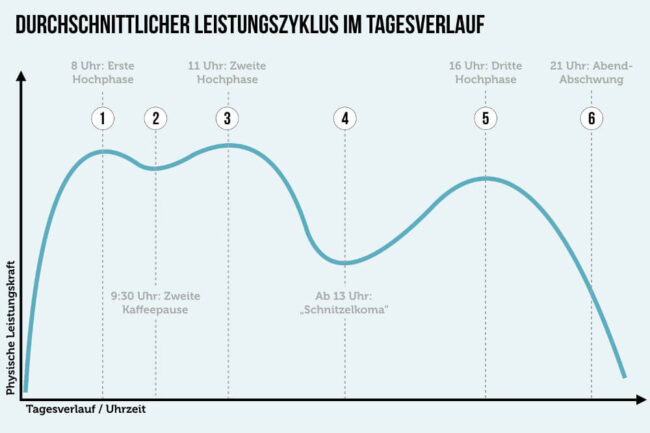 Biorhythmus: Die eigene innere Uhr erkennen + nutzen