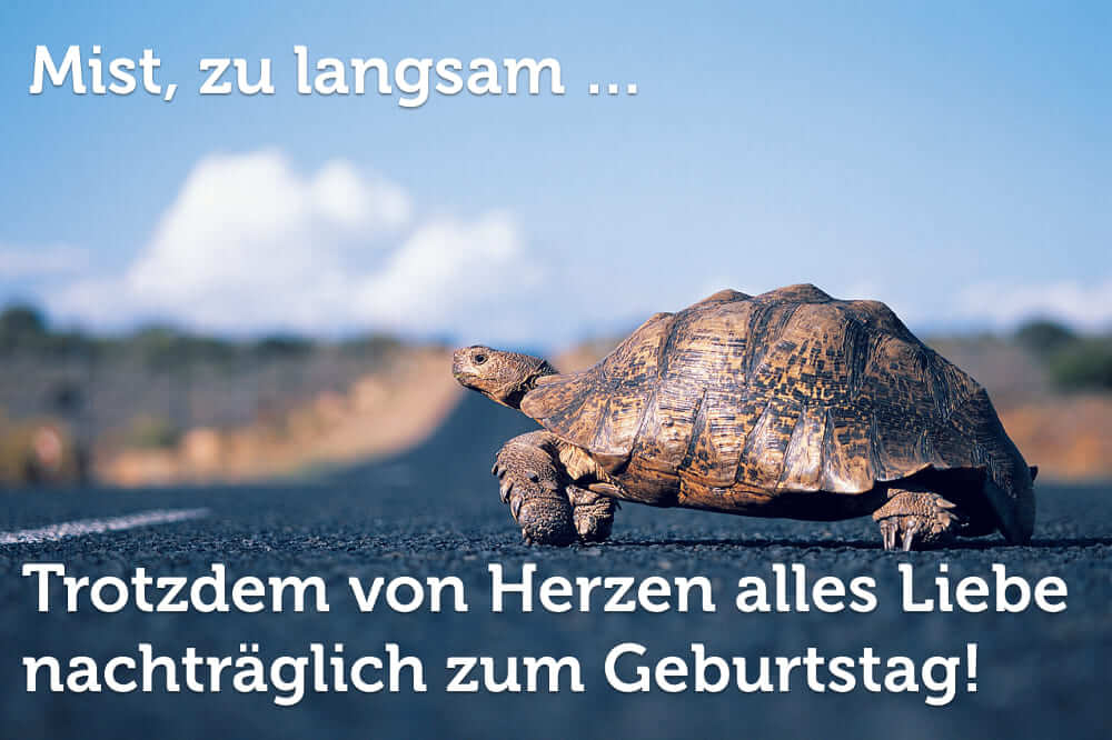 Vergessen entschuldigung geburtstag spruch Geburtstag vergessen