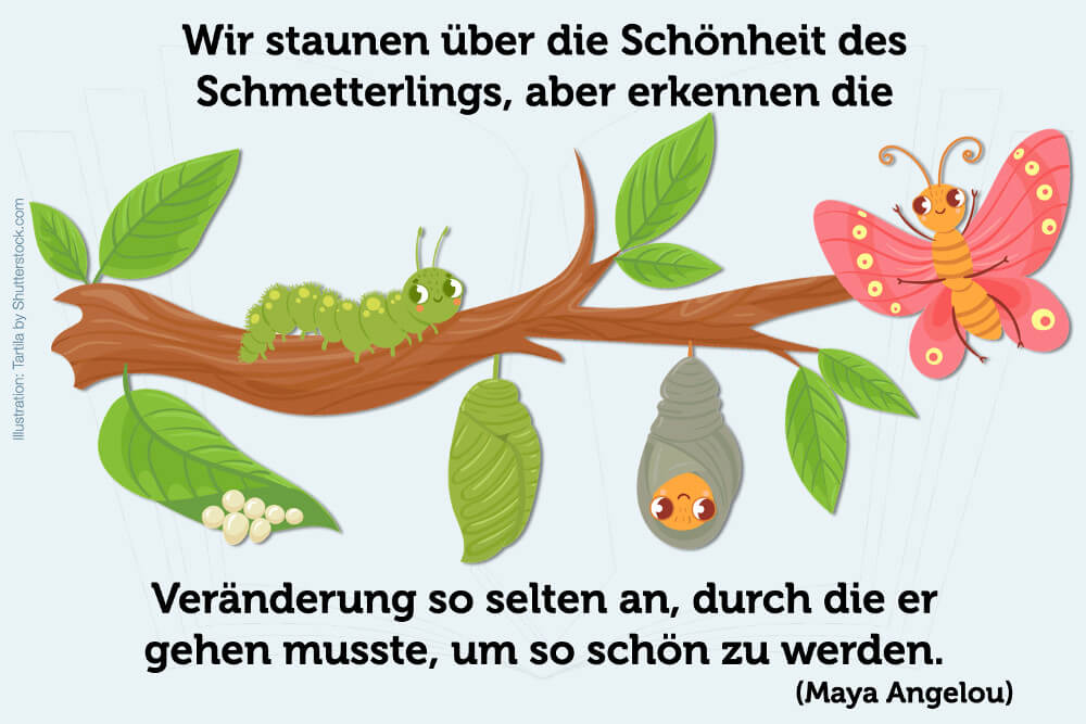 Veränderung Spruch Schmetterling Love It Change It Or Leave It Bild