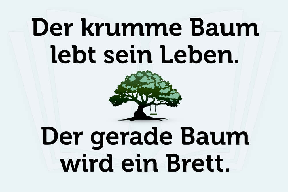 Lebensweisheiten Mehr Als 100 Sprüche Zitate