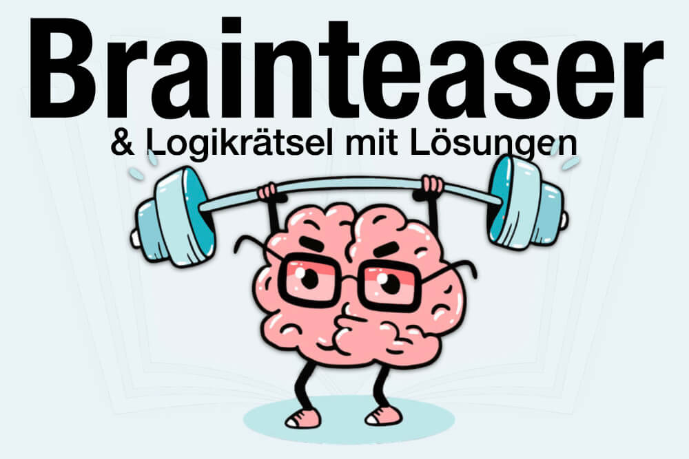 Brainteaser Loesung Online Bedeutung Bewerbung