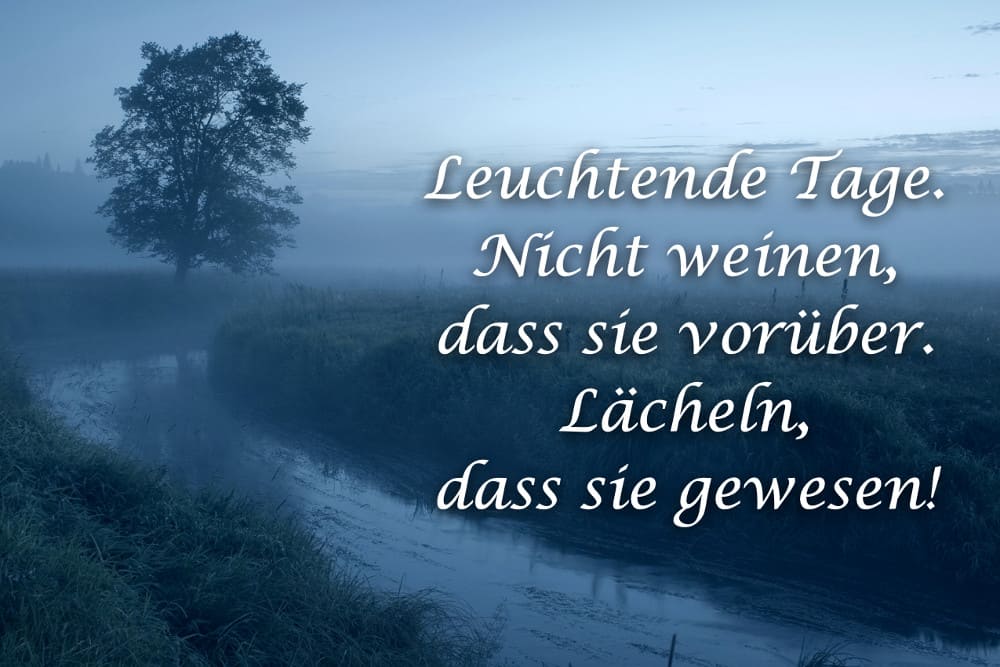 100 liebevolle Trauersprüche – kurz für Beileidskarten