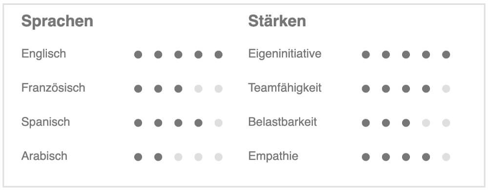 Lebenslauf Kurzprofil Stärken und Sprachen