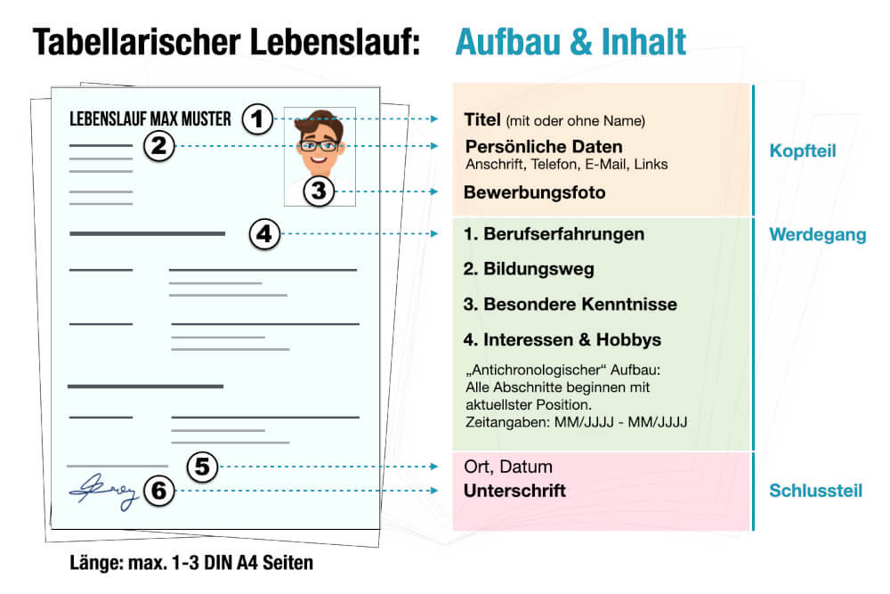 Führungskraft Bewerbung Tabellarischer Lebenslauf Muster Aufbau Reihenfolge