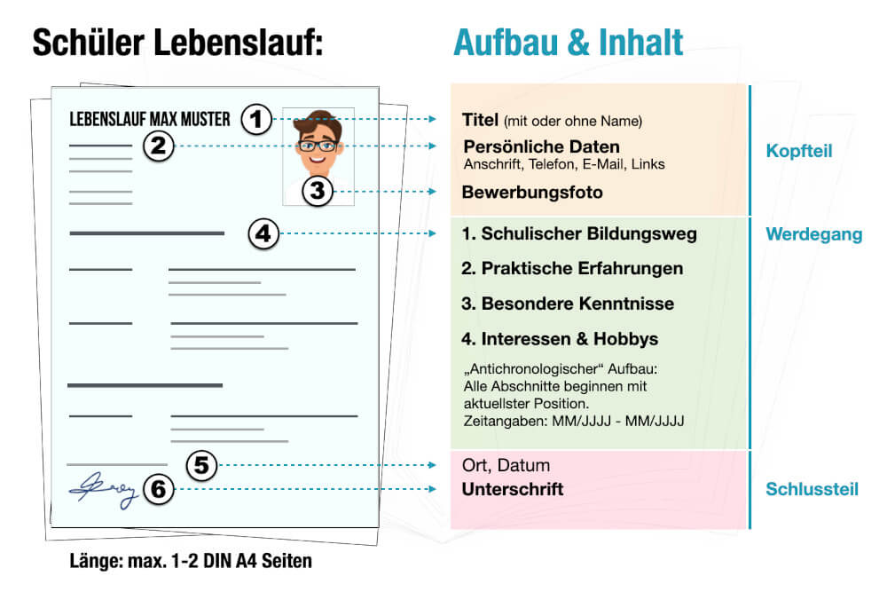 Schüler Lebenslauf Aufbau Inhalt Muster Beispiel