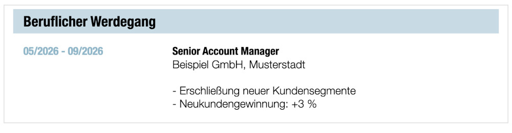 Lebenslauf Beispiel Informationen kürzen