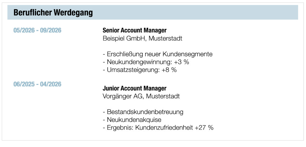 Lebenslauf Beispiel Langfassung