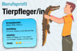Beruf Tierpfleger Ausbildung Gehalt Jobs Aufgaben Karriere