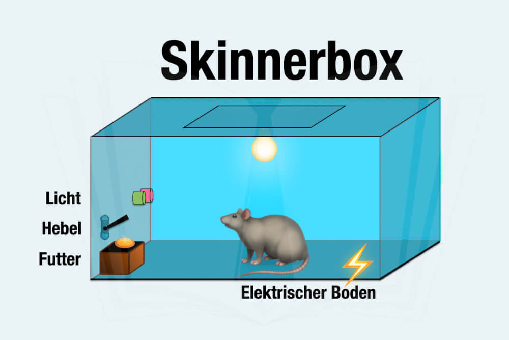 Skinnerbox Beispiel Operante Konditionierung Klassische Konditionierung