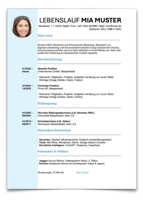 Bewerbung Reinigungskraft Vorlage Lebenslauf Muster Word