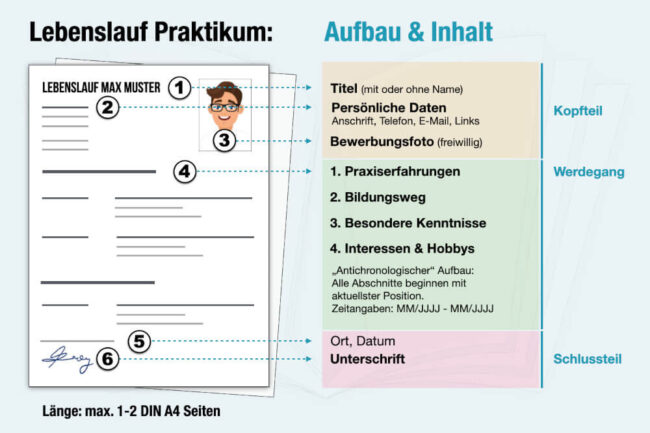 Lebenslauf Praktikum: Vorlage + Tipps für Schüler