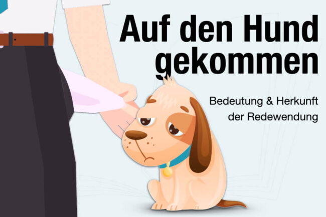 Auf den Hund gekommen: Bedeutung und Herkunft