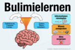 Bulimielernen Bulimie Lernen Bedeutung Erklaerung Phasen Vorteile Nachteile Pro Contra Tipps Kurzfristig Wissen