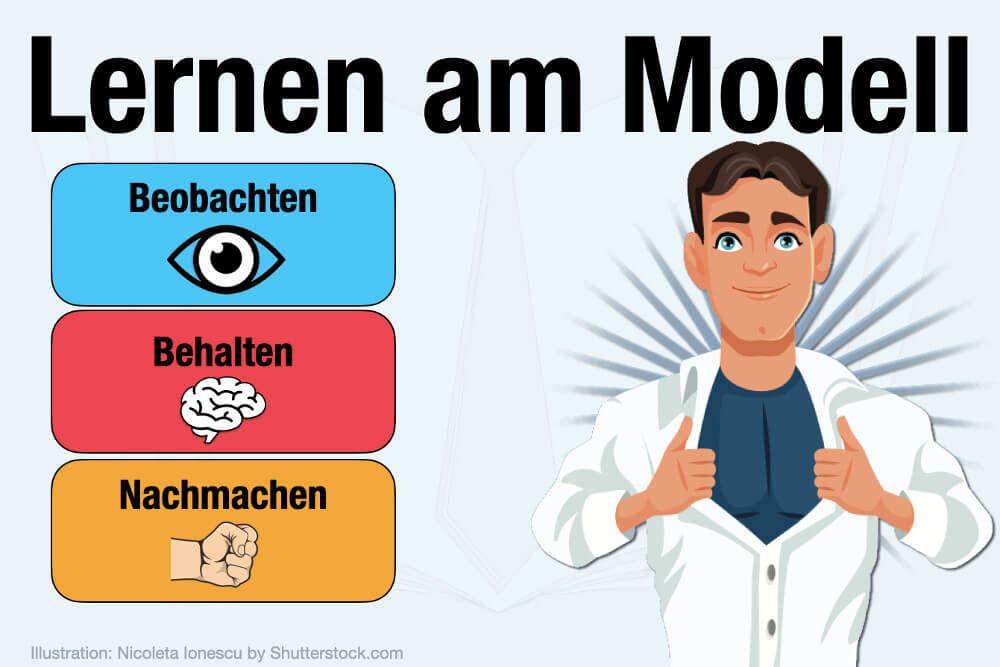 Lernen Am Modell Bandura Einfach Erklaert Definition Beispiele Phasen Lerneffekte Effekte Sozialkognitive Lerntheorie