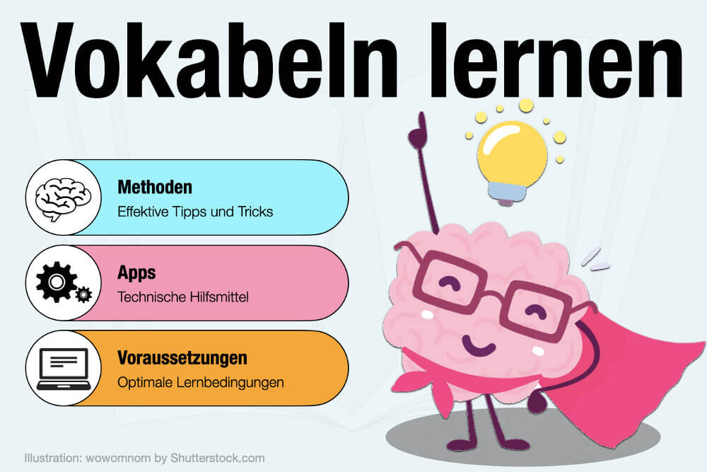 Vokabeln Lernen Apps Methoden Tipps Techniken Karteikarten System Voraussetzungen Sprache