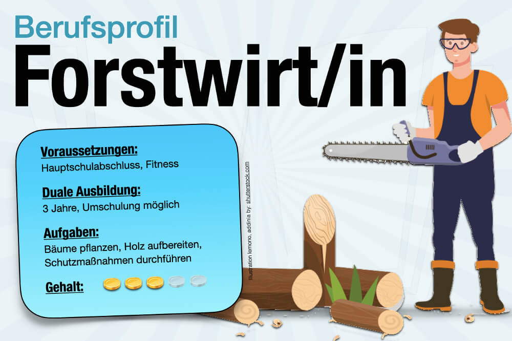 Beruf Forstwirt Ausbildung Gehalt Aufgaben Voraussetzungen Karriere Weiterbildungen Steckbrief