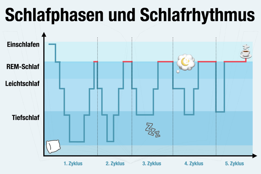 Schlafphasen Schlafrhythmus REM Schlaf Tiefschlaf Zyklus