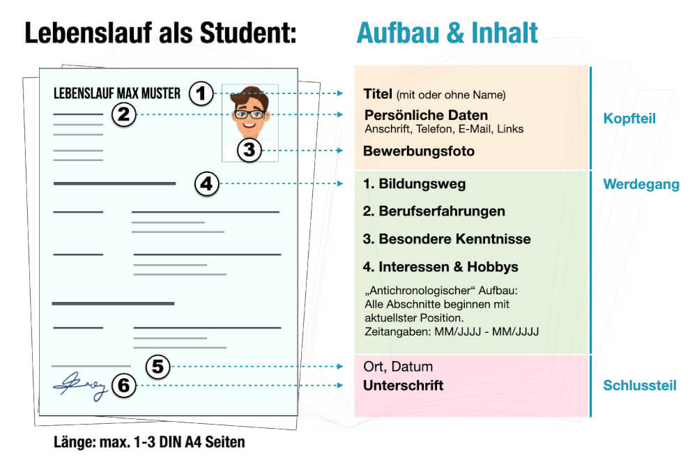 Lebenslauf Student Muster Aufbau Beispiel